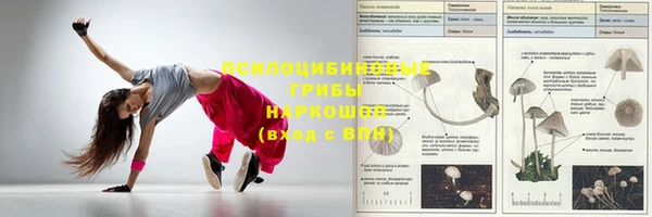 мескалин Алексин