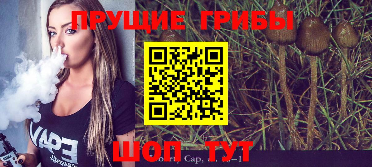 Псилоцибиновые грибы GOLDEN TEACHER Кимры