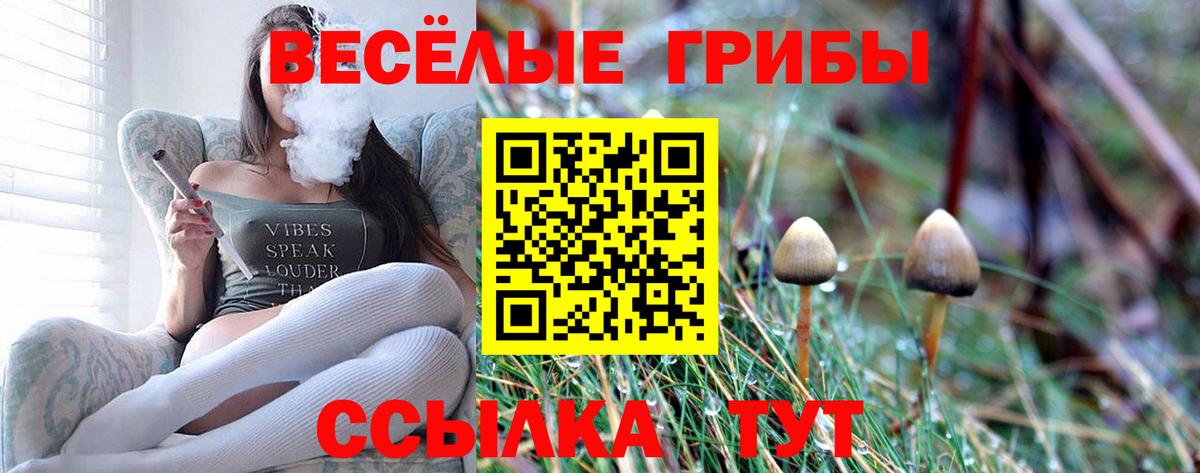 Кимры  Псилоцибиновые грибы MAGIC MUSHROOMS  Галлюциногенные грибы Psilocybine cubensis  купить  сайты  Вход с VPN 