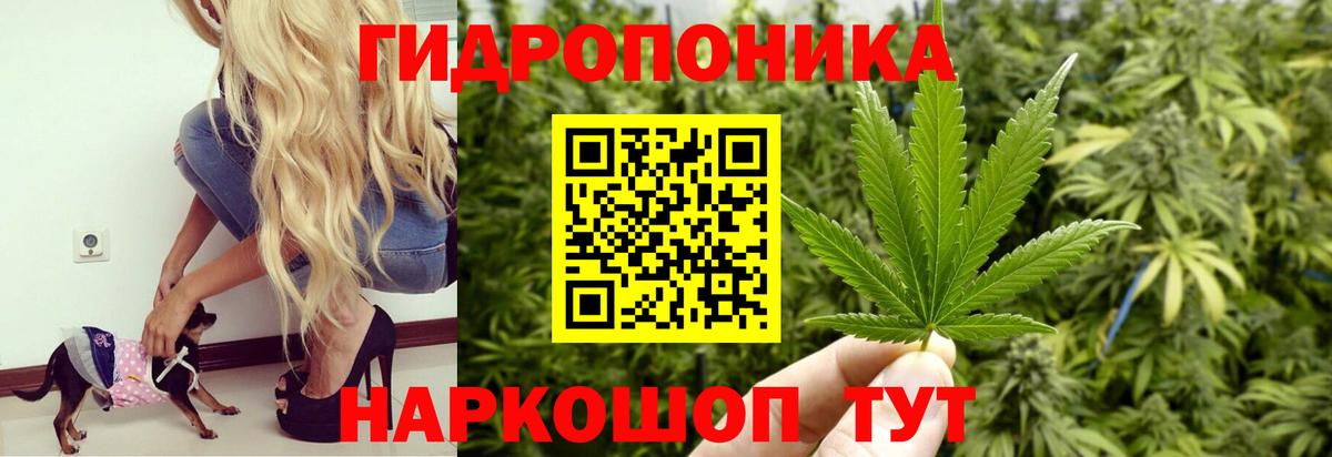 Шишки марихуана LSD WEED  Вход с VPN  Кимры  Марихуана Bruce Banner  Бошки марихуана OG Kush 